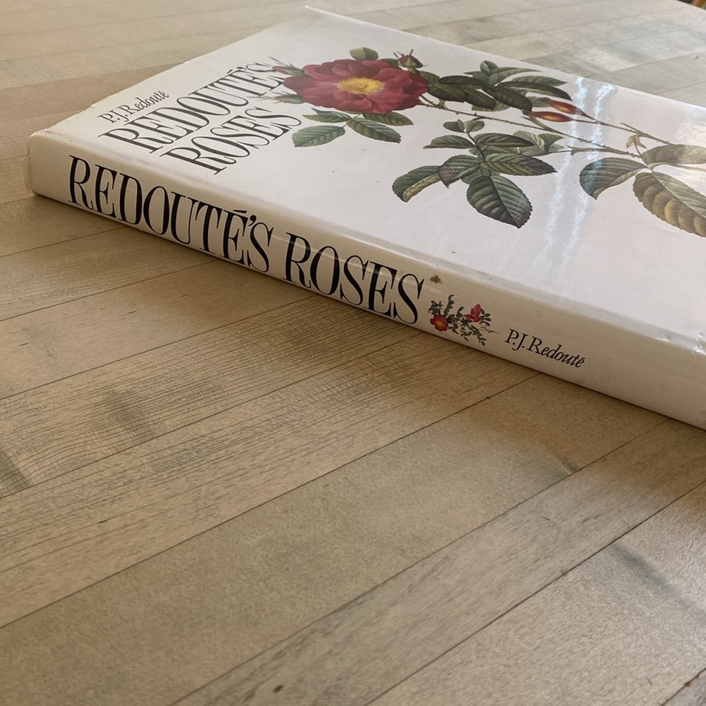 Redouté's Roses by P.J. Redouté - Picture 13 of 14